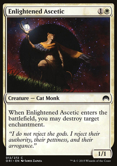 Enlightened Ascetic